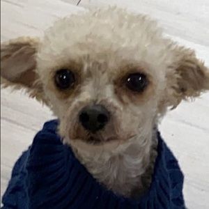 Meet your Posher, Nina